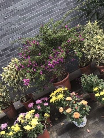 唐绪碧 纪念堂
