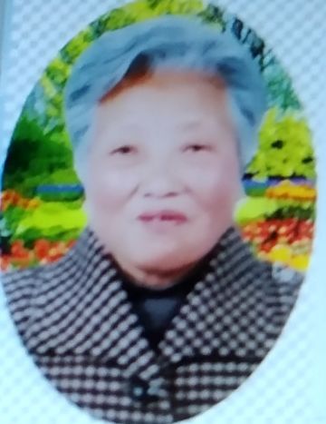 黄菊花 纪念堂