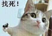 哈？ 纪念堂