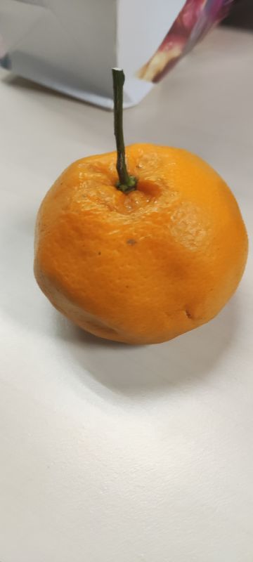 具体 纪念堂