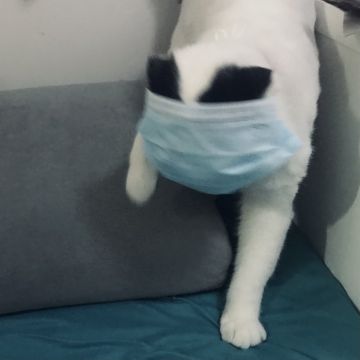 骆一锅 纪念堂