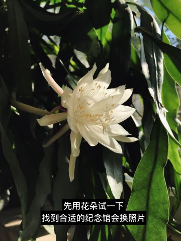 田成雷 纪念堂