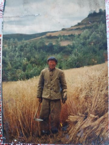 杨金罗 纪念堂