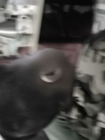 邓鸿宇 纪念堂