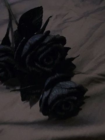 杜笑汉的爱情 纪念堂