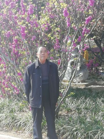 杨传照 纪念堂