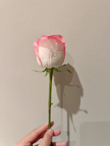 豆豆 纪念堂